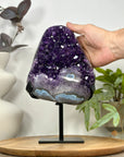 Natural Amethyst & Blue Agate Shell Statement Piece - MWS3116