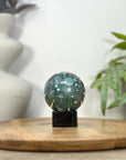Agate & Jasper Sphere Geode - SPH0217