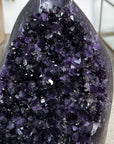 XXL Unique Top Quality Natural Amethyst Cathedral - CBP1199