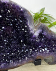 Top Grade Deep Purple Uruguayan Amethyst Geode - MWS3398