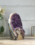 XL Amethyst Cathedral with Rainbow Jasper & Agate Shell - CBP1253