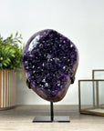 Large Deep Purple Amethyst Cluster with Red Jasper & Agate Matrix - MWS2153