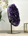 Deep Purple Natural Amethyst Crystal Cluster - MWS2266