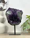 Natural Amethyst Crystal Cluster with Green Jasper Shell - MWS3191
