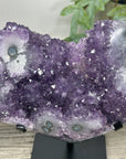 Natural Amethyst Stalactite Formation on Stand - MWS3237