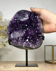 A+ Grade Uruguayan Amethyst Geode - MWS1912