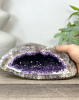 Natural Amethyst Geode with Polished Quartz Shell - STGE0049