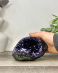 A+ Grade Amethyst Geode from Uruguay - STGE0061