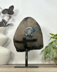 Natural Amethyst Crystal Cluster Statement Piece - MWS3200