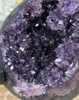 Stunning Amethyst Geode with Stalactite Flowers - MWS1393