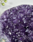 Amethyst Crystal Specimen for Home Decor - MWS2985