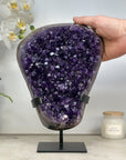 Large Natural Amethyst Crystal Cluster - MWS1407