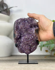 Uruguayan amethyst Geode with Quartz Shell on Stand - MWS3306