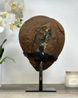 Beautiful Natural Amethyst Geode, Metal Stand Included - MWS1740