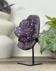 Uruguayan Amethyst Geode on Stand - MWS3303