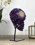 Natural Uruguayan Amethyst Crystal Formation with Stand - MWS2251