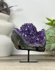 Natural Amethyst Crystal Cluster - MWS3305