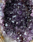Amethyst Geode Cave with Polished Shell - MWS1792
