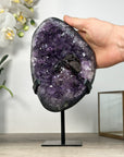 Unique Large Amethyst Cluster with Black Hematite Formation - MWS2529