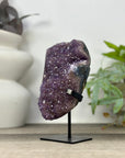 Uruguayan amethyst Geode with Quartz Shell on Stand - MWS3306