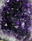 Natural Large Amethyst Geode with Shinny Crystals on Metal Stand - MWS2797
