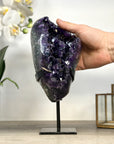 Top Grade Uruguayan Amethyst Crystal Formation - MWS2267