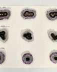 Unique Amethyst & Quartz Stalactite Slices Set - Natural Crystal for Handmade Jewelry - STS0059