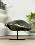 Natural uruguayan Amethyst Geode with Calcite Inclusion - MWS3379