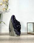Amethyst Crystal Cluster Geode – Dark Purple for Collector Display - CBP1250