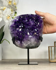 A Grade Amethyst Crystal Cluster with Huge & Shinny Crystals - MWS2390