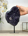 Top Grade Amethyst Crystal Cluster with Green Jaspe Shell - MWS2471