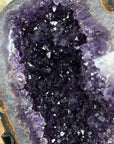 Outstanding Natural Amethyst Geode with Colorful Shell - MWS1427