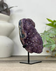 Uruguayan amethyst Geode with Quartz Shell on Stand - MWS3306