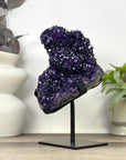 A Grade Natural Amethyst Crystal Specimen on Metal Stand - MWS3390