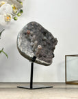 Rare Quartz Druzy & Jasper Stalactite Formation - MWS2842