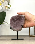 Natural Pink Amethyst Cluster Formation - MWS2880