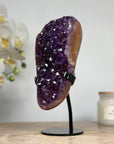 Uruguayan Amethyst Crystal Cluster, Perfect for Home Decor - MWS1572