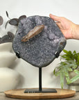 Large Quartz Cluster Formation with Unique Calcite Crystal Specimen - MWS3138