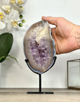 Amethyst Geode Slice with Deep Purple Crystals - MWS2914