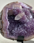 XXL Natural Amethyst Specimen with Stunning Calcite Crystals and Pink Shell - MWS0803