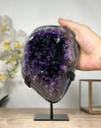 A+ Grade Natural amethyst Geode with Blue agate Shell - MWS1787