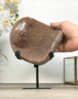 Natural Orange Sugar Quartz Geode - MWS2873