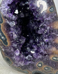 Natural XXL Amethyst & Agate Geode, Huge Deep Purple Crystals - CBP1097