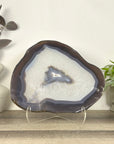 Polished Blue Banded Agate Slice - SLC0024