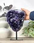 Top Grade Uruguayan Amethyst with Deep Purple Large Crystals on Stand - MWS3281