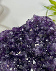 Large Top Quality Amethyst Crystal Cluster for home Decor - CBP1307