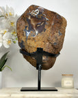 Stunning Top Grade Large Natural Amethyst Specimen - MWS2049