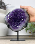 Amethyst Geode on Metal Stand with Unique Shinny Crystals - MWS3312