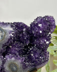 Unique Natural Amethyst Specimen with A+ Grade Crystals & Stalactite Formations - MWS3103