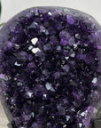 Top Grade Uruguayan Amethyst Crystal Geode - Metal Stand Included - MWS2256